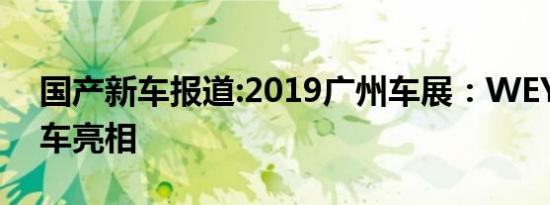 国产新车报道:2019广州车展：WEY-X概念车亮相