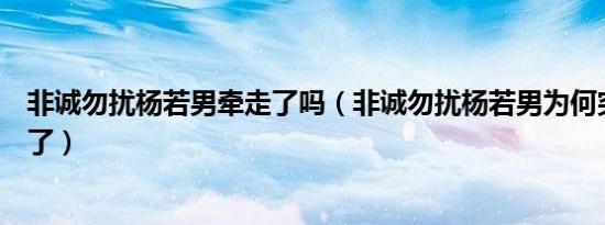 非诚勿扰杨若男牵走了吗（非诚勿扰杨若男为何突然没消失了）