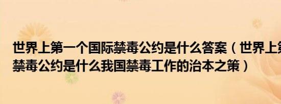 世界上第一个国际禁毒公约是什么答案（世界上第一个国际禁毒公约是什么我国禁毒工作的治本之策）