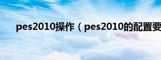 pes2010操作（pes2010的配置要求）