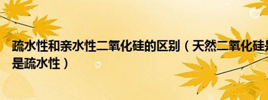 疏水性和亲水性二氧化硅的区别（天然二氧化硅是亲水性还是疏水性）