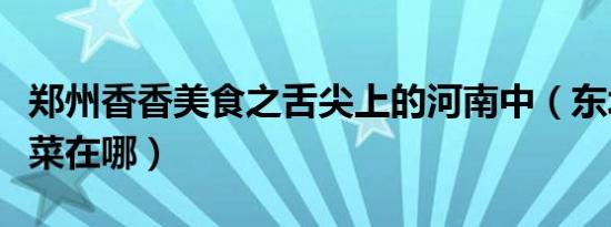 郑州香香美食之舌尖上的河南中（东北铁板烧菜在哪）