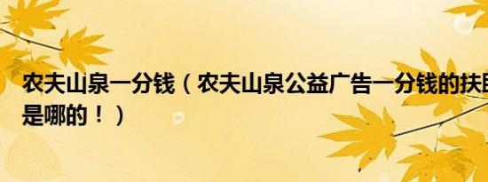 农夫山泉一分钱（农夫山泉公益广告一分钱的扶助那个男孩是哪的！）