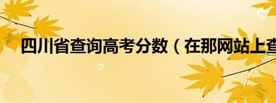 四川省查询高考分数（在那网站上查询）