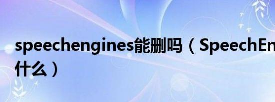 speechengines能删吗（SpeechEngines是什么）