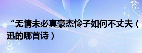 “无情未必真豪杰怜子如何不丈夫（”出自鲁迅的哪首诗）