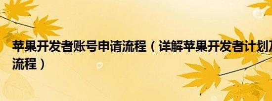 苹果开发者账号申请流程（详解苹果开发者计划及加入会员流程）