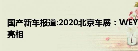 国产新车报道:2020北京车展：WEY坦克300亮相