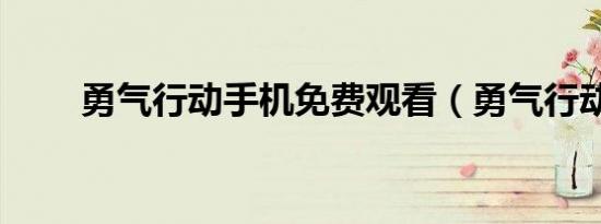 勇气行动手机免费观看（勇气行动）