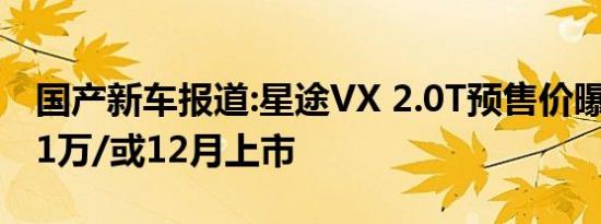 国产新车报道:星途VX 2.0T预售价曝光 19-21万/或12月上市