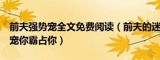 前夫强势宠全文免费阅读（前夫的迷情诱惑：宠你霸占你）