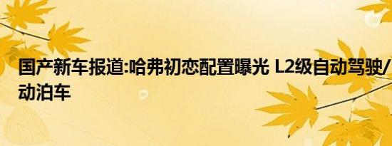 国产新车报道:哈弗初恋配置曝光 L2级自动驾驶/360度全自动泊车