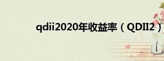 qdii2020年收益率（QDII2）