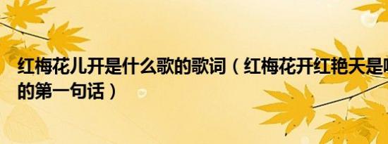 红梅花儿开是什么歌的歌词（红梅花开红艳天是哪首歌曲上的第一句话）