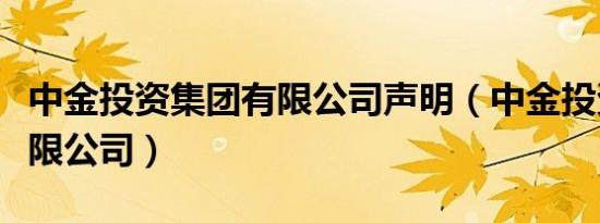 中金投资集团有限公司声明（中金投资集团有限公司）