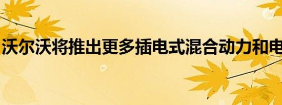 沃尔沃将推出更多插电式混合动力和电动汽车