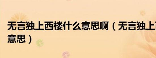 无言独上西楼什么意思啊（无言独上西楼什么意思）