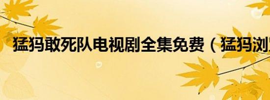 猛犸敢死队电视剧全集免费（猛犸浏览器）