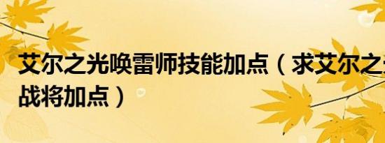 艾尔之光唤雷师技能加点（求艾尔之光澄雷霆战将加点）