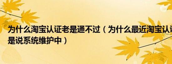 为什么淘宝认证老是通不过（为什么最近淘宝认证的时候总是说系统维护中）