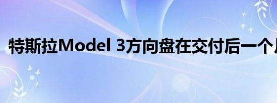 特斯拉Model 3方向盘在交付后一个月掉落