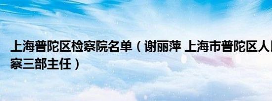 上海普陀区检察院名单（谢丽萍 上海市普陀区人民检察院检察三部主任）