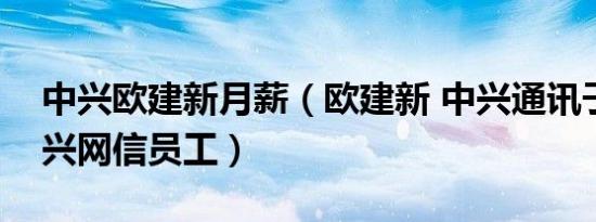 中兴欧建新月薪（欧建新 中兴通讯子公司中兴网信员工）