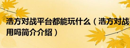 浩方对战平台都能玩什么（浩方对战平台还能用吗简介介绍）