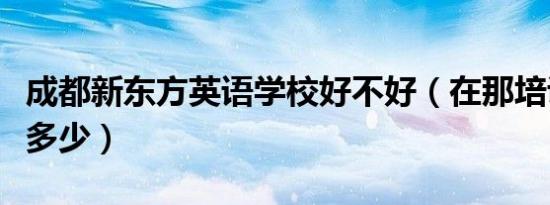 成都新东方英语学校好不好（在那培训学费要多少）