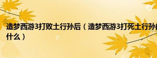 造梦西游3打败土行孙后（造梦西游3打死土行孙的一个门是什么）