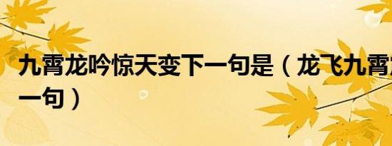 九霄龙吟惊天变下一句是（龙飞九霄震苍穹下一句）