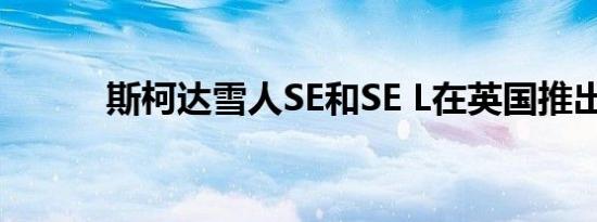 斯柯达雪人SE和SE L在英国推出