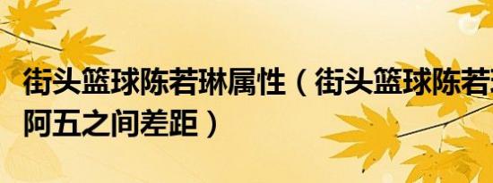 街头篮球陈若琳属性（街头篮球陈若玲属性较阿五之间差距）