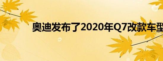  奥迪发布了2020年Q7改款车型