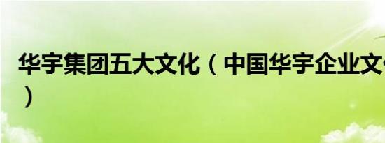 华宇集团五大文化（中国华宇企业文化是什么）