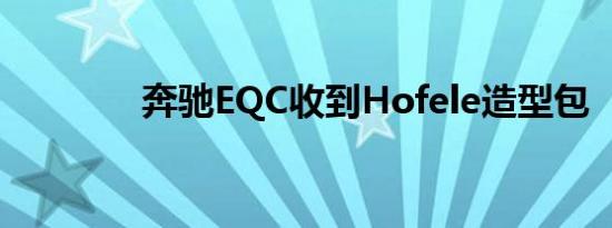 奔驰EQC收到Hofele造型包