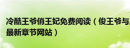 冷酷王爷俏王妃免费阅读（俊王爷与麻辣王妃最新章节网站）