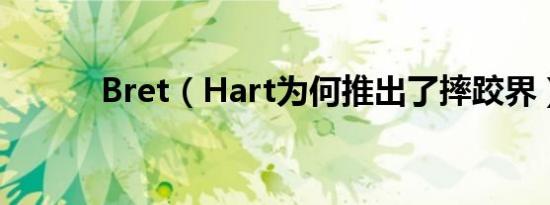 Bret（Hart为何推出了摔跤界）