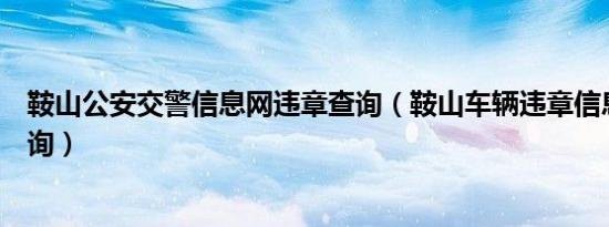 鞍山公安交警信息网违章查询（鞍山车辆违章信息在哪里查询）