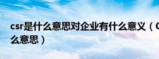 csr是什么意思对企业有什么意义（CSR是什么意思）