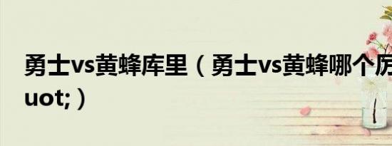 勇士vs黄蜂库里（勇士vs黄蜂哪个厉害\"）