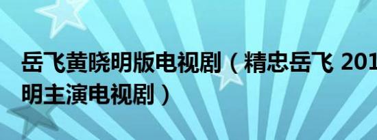 岳飞黄晓明版电视剧（精忠岳飞 2013年黄晓明主演电视剧）