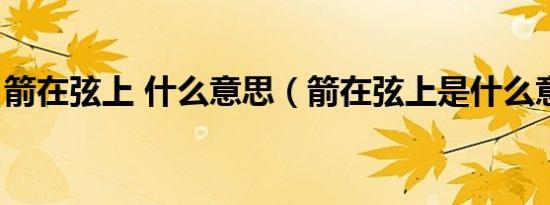 箭在弦上 什么意思（箭在弦上是什么意思啊）