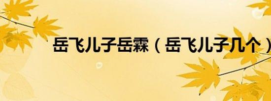 岳飞儿子岳霖（岳飞儿子几个）