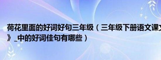 荷花里面的好词好句三年级（三年级下册语文课文—《荷花》_中的好词佳句有哪些）