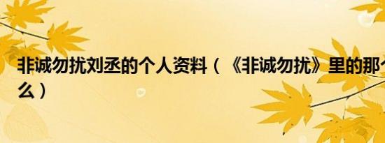 非诚勿扰刘丞的个人资料（《非诚勿扰》里的那个刘丞是托么）