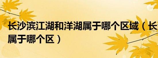 长沙滨江湖和洋湖属于哪个区域（长沙市南湖属于哪个区）