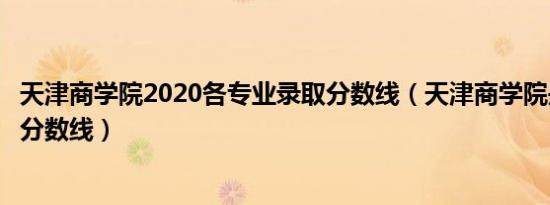 天津商学院2020各专业录取分数线（天津商学院是几本录取分数线）