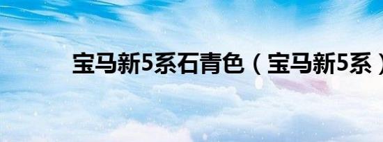 宝马新5系石青色（宝马新5系）