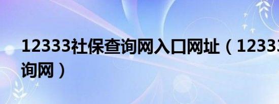 12333社保查询网入口网址（12333社保查询网）